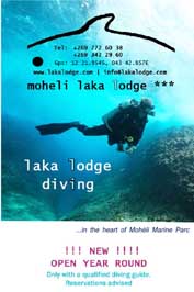 Laka Lodge Diving