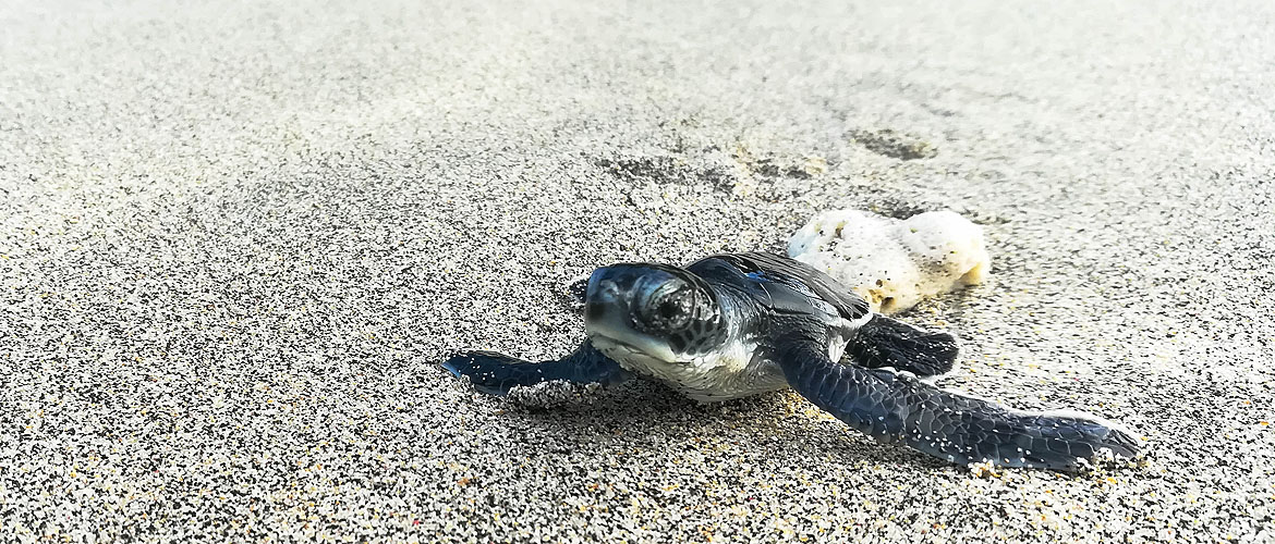 We build for the Future